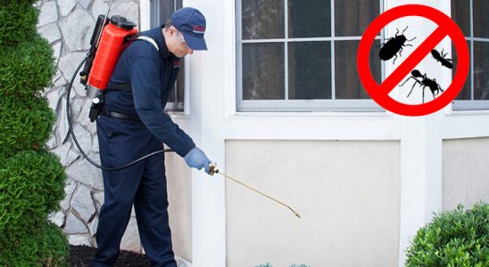 Gümüşhane Bit İlaçlama böcek ilaçlama ve haşere kontrolü — ilaclama-tr.com